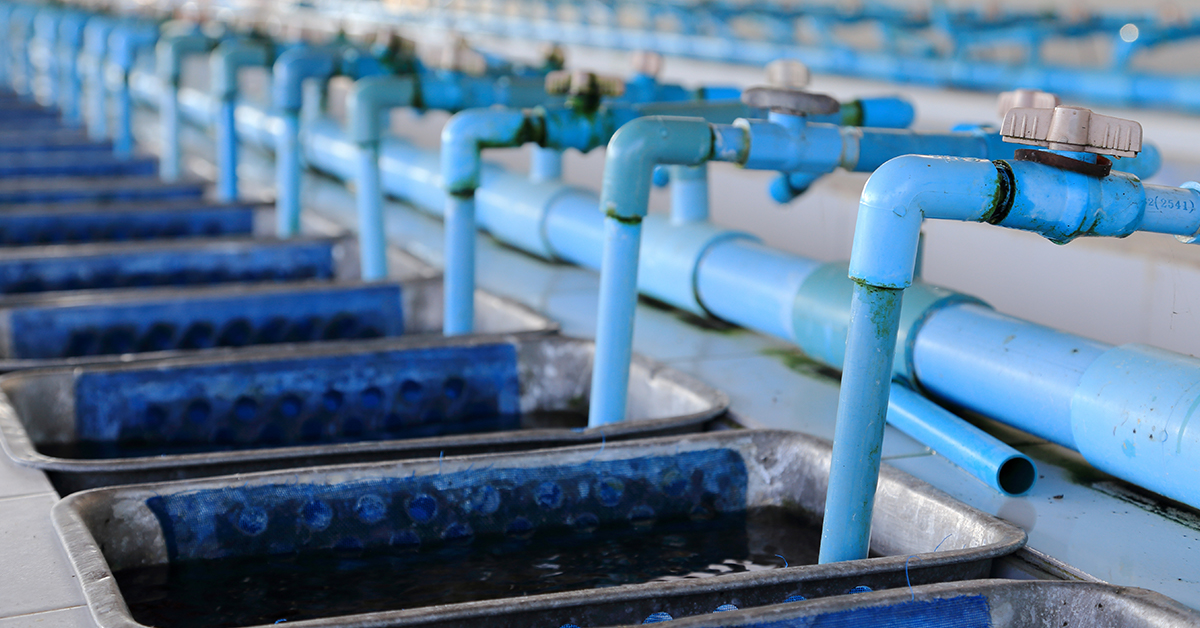 Alabama Fish hatchery