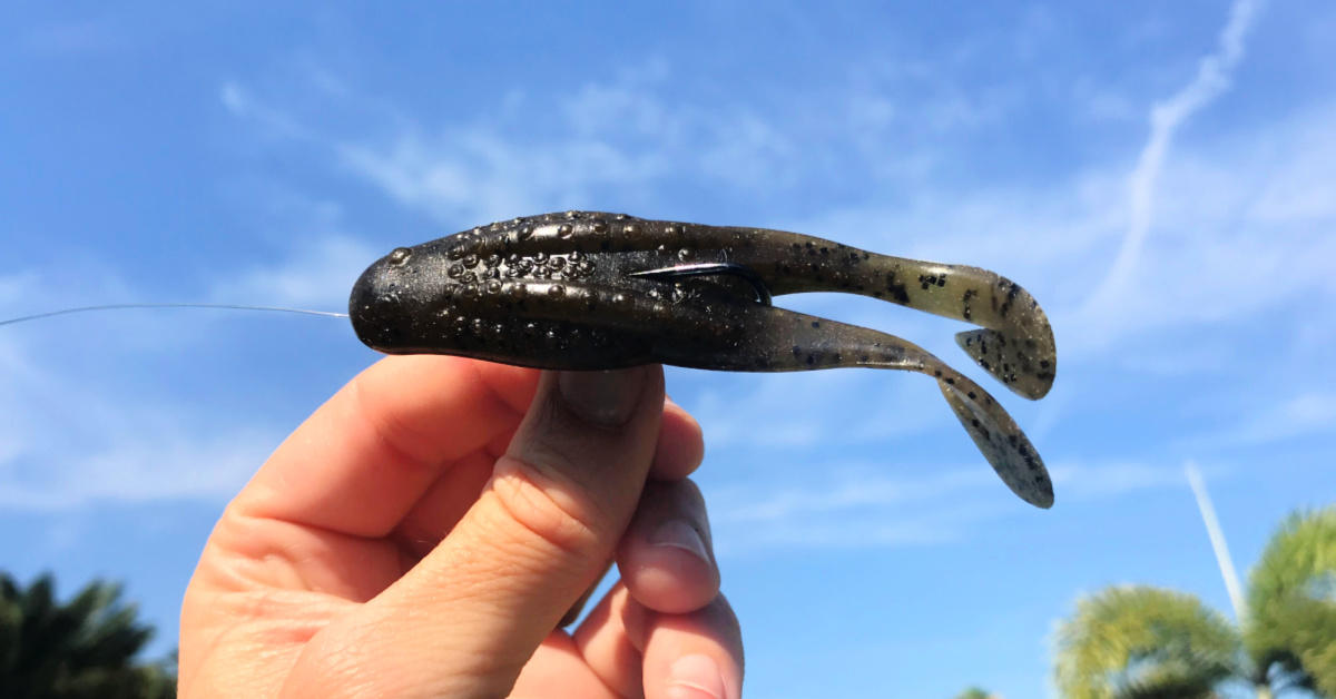 http://how%20to%20use%20a%20frog%20lure%20to%20catch%20saltwater%20fish