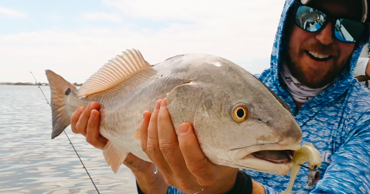 http://how%20to%20catch%20more%20redfish%20on%20paddletails