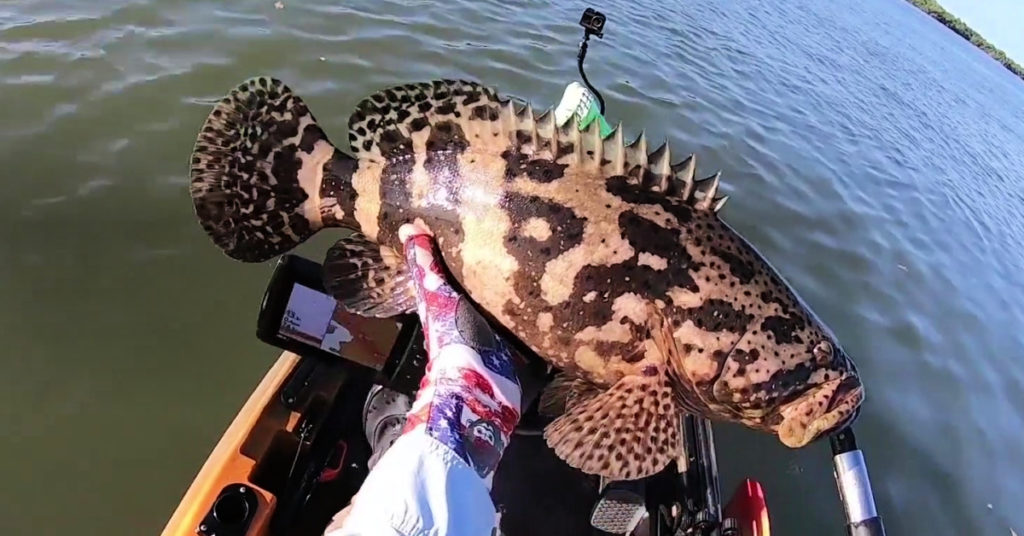 how to catch redfish in unfamiliar water