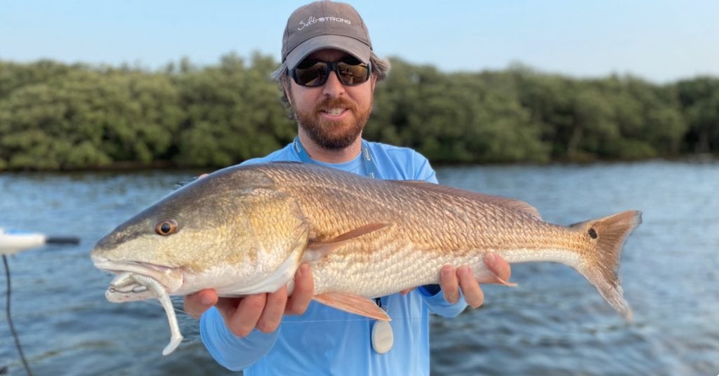 how to retrieve paddle tail lure