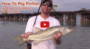 how to rig a pinfish