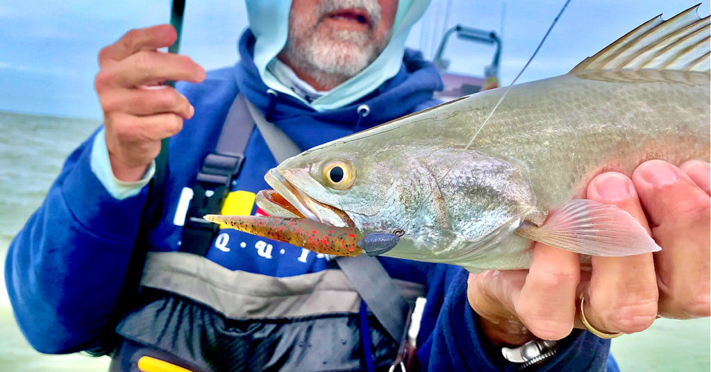 how to retrieve the mirrolure lil jon