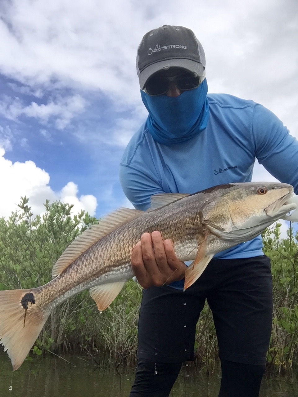 saltwater online fishing tournament