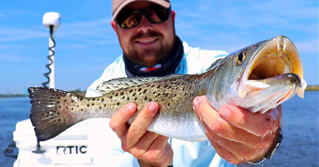 best spots to fish on an incoming tide