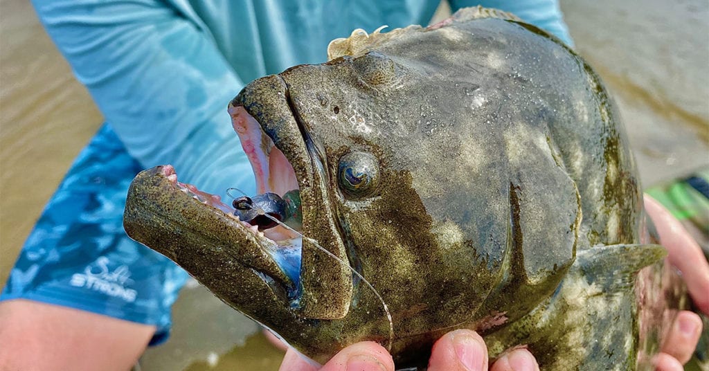 how to catch flounder in summer
