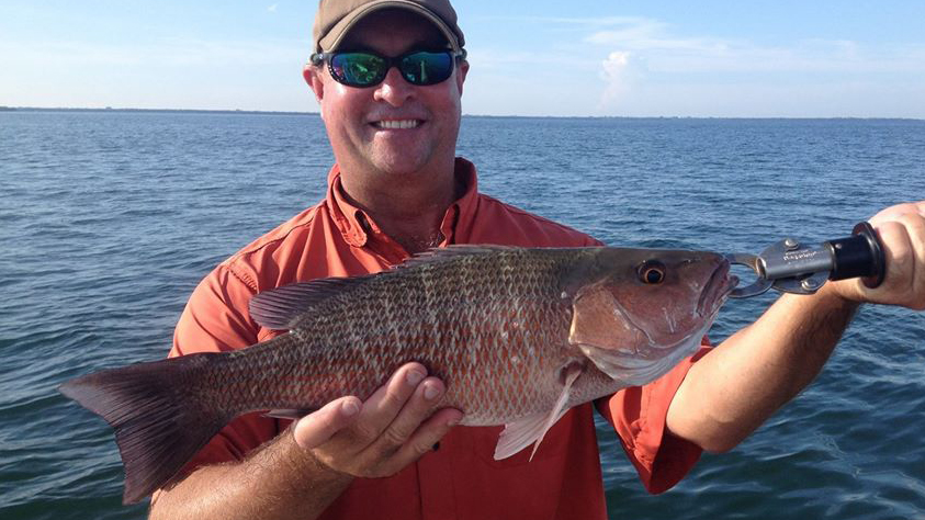 inshore snapper
