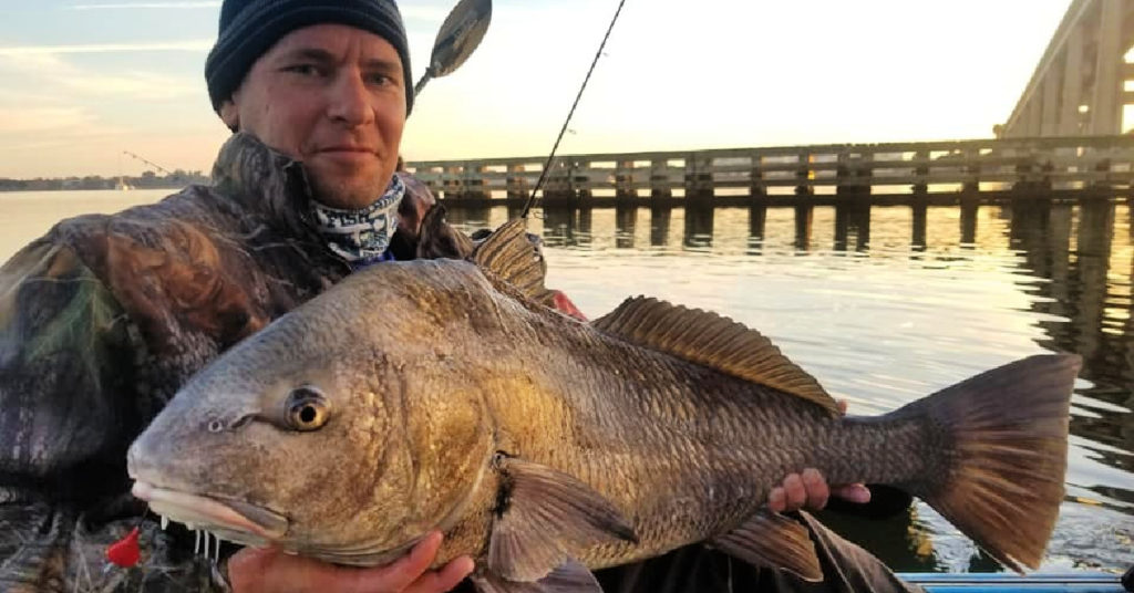 insider bridge fishing