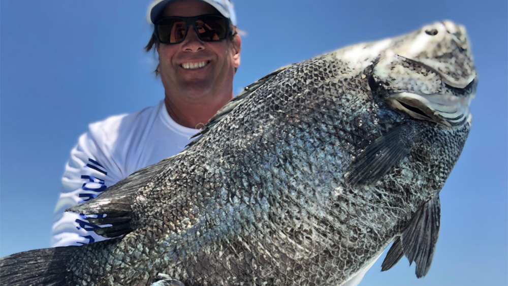 tripletail