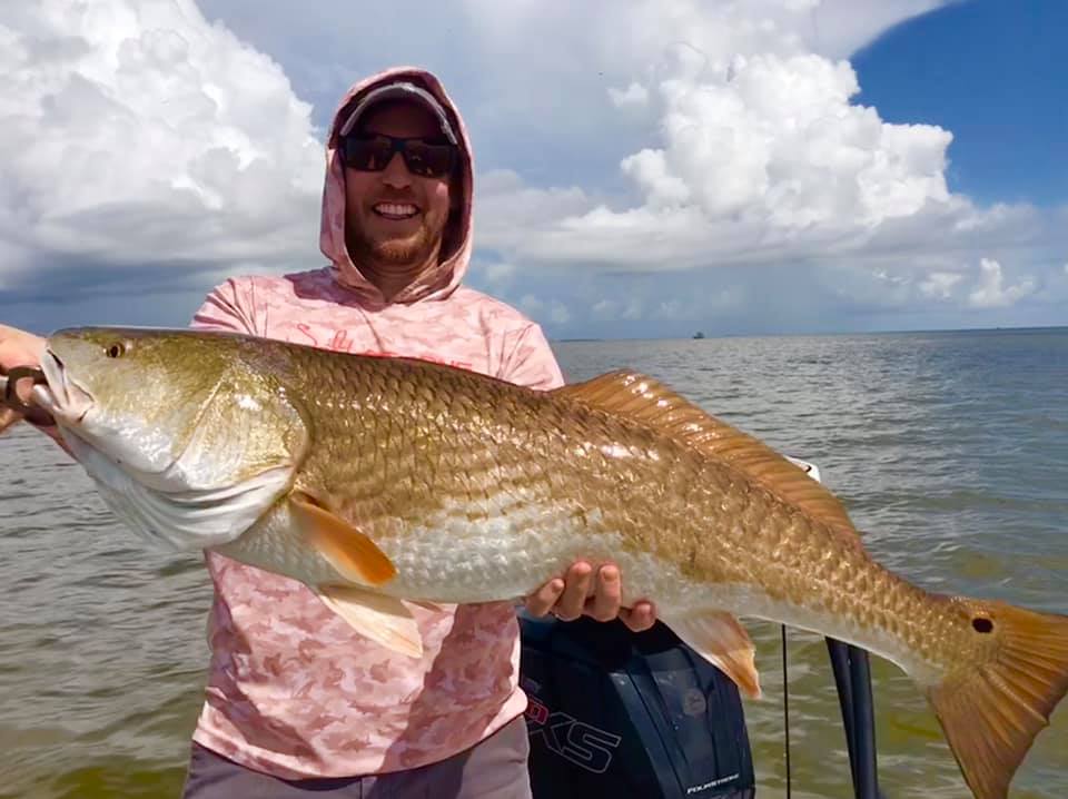bull redfish