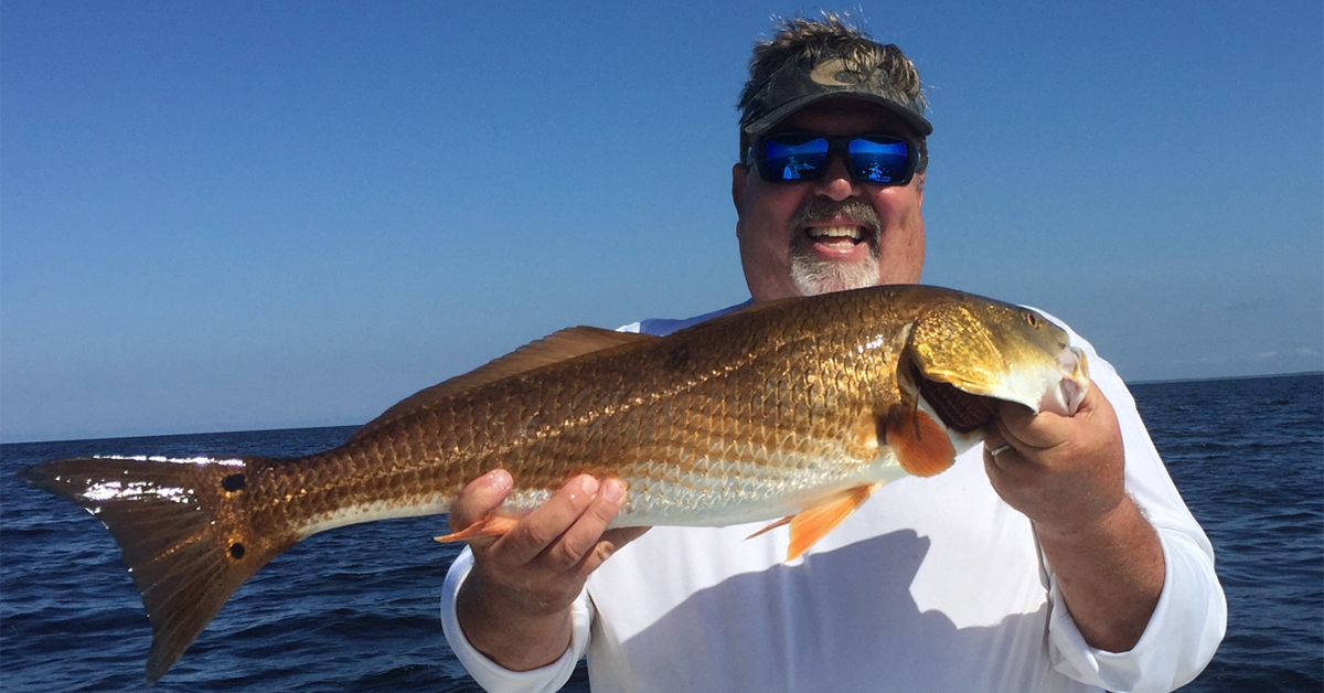 http://salt%20strong%20redfish