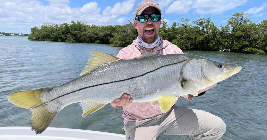 the snook book review