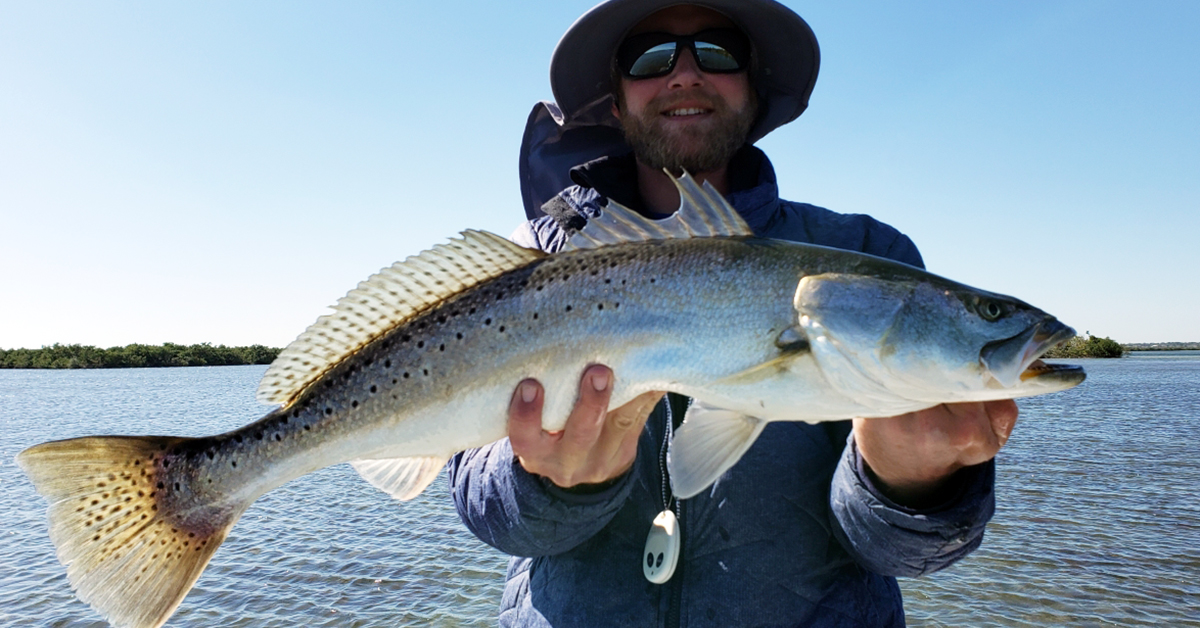 best saltwater fishing newsletter