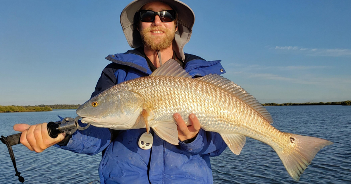 best saltwater fishing newsletter