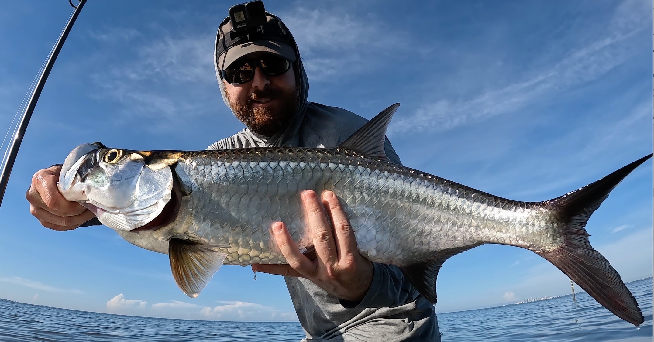 http://juvenile%20tarpon%20lure