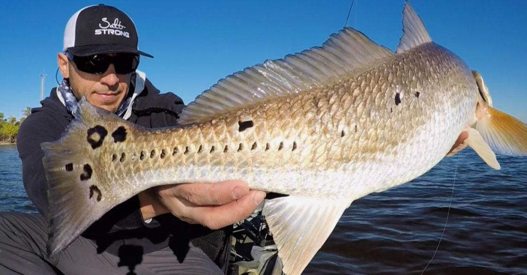 summer redfish lures