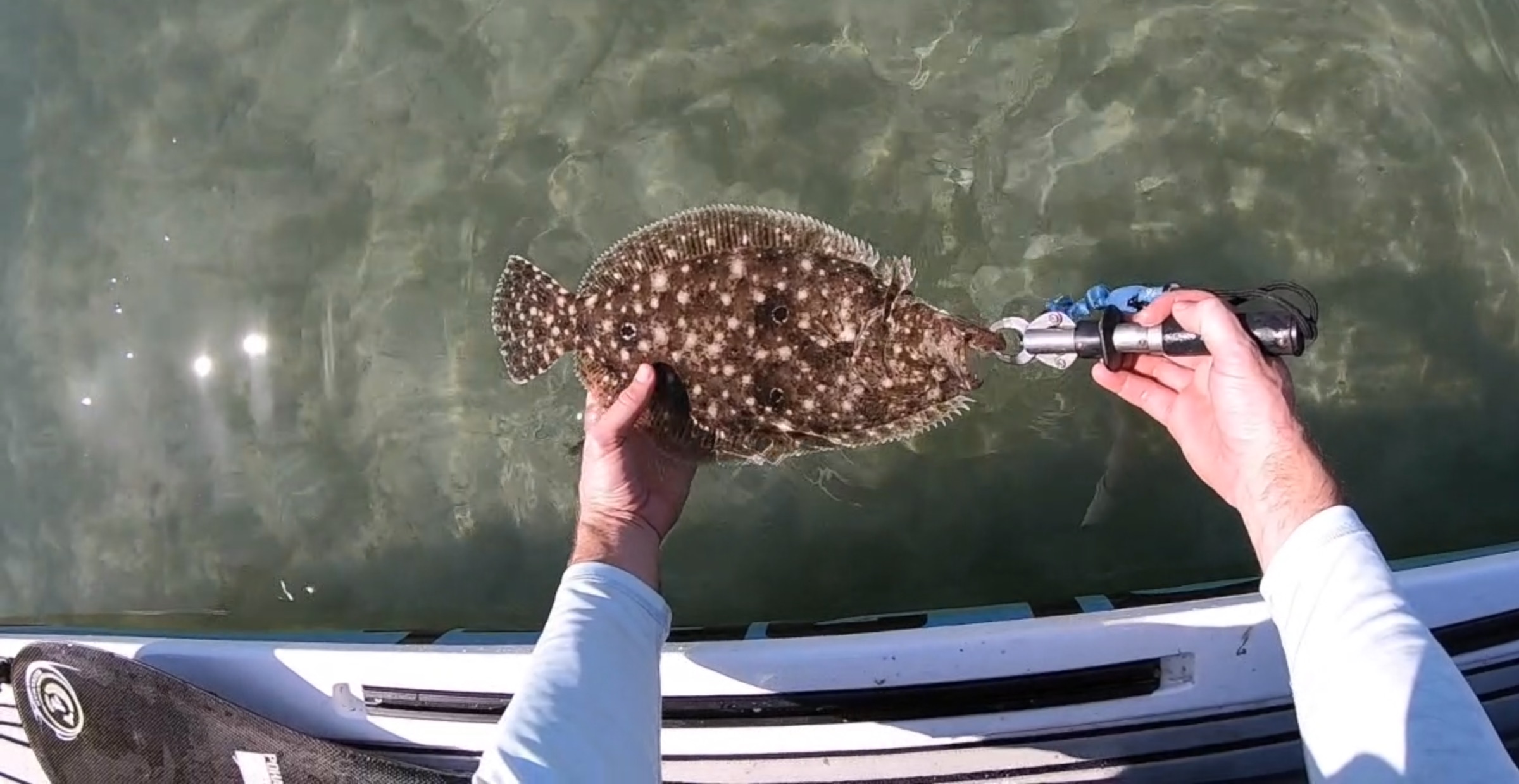 key biscayne fishing trip flounder
