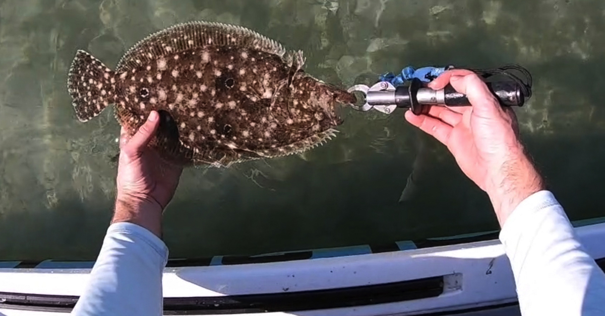 http://flounder%20fishing%20florida