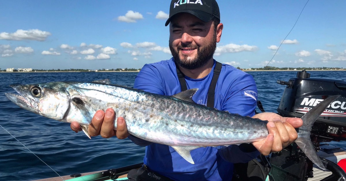 king mackerel