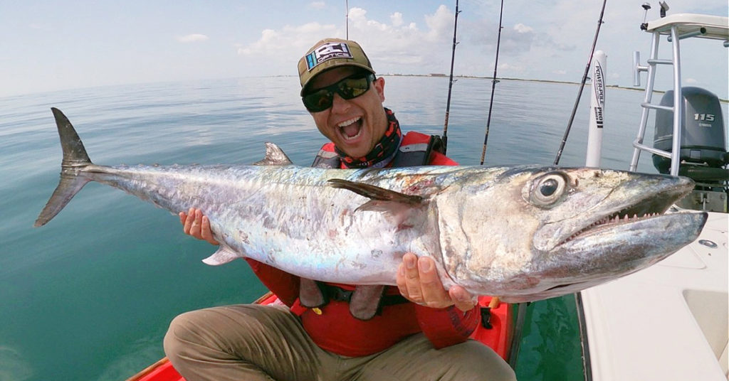 kingfish nearshore