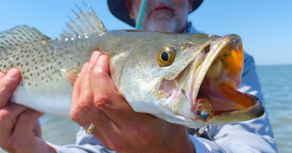 how to use lil john twitchbait