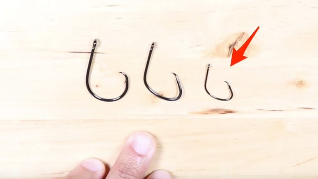circle hook size for live bait
