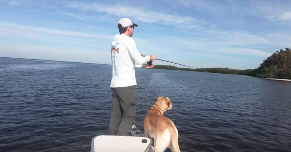 pre tournament scouting