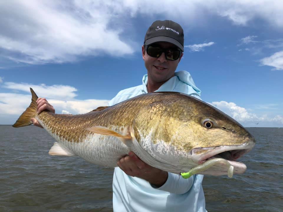 redfish on popping cork