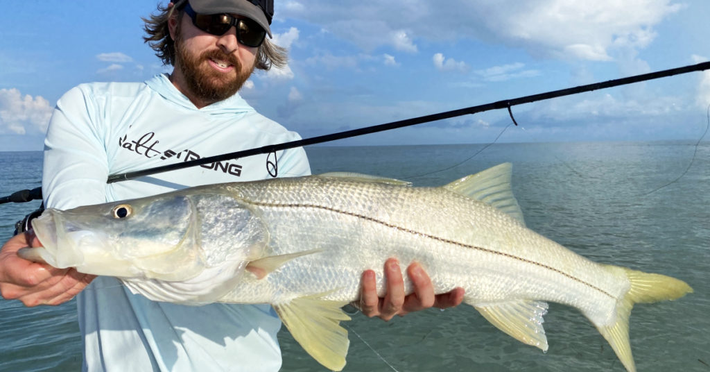 nearshore reef snook