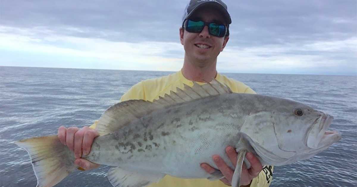 luke simonds gag grouper