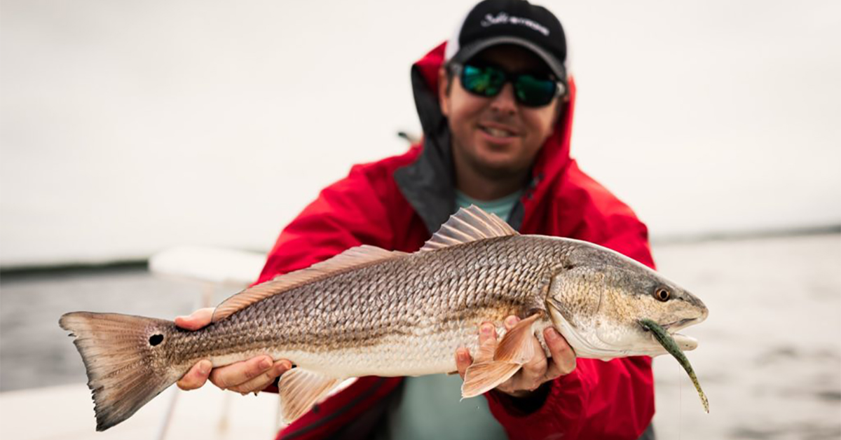 http://inshore%20redfish