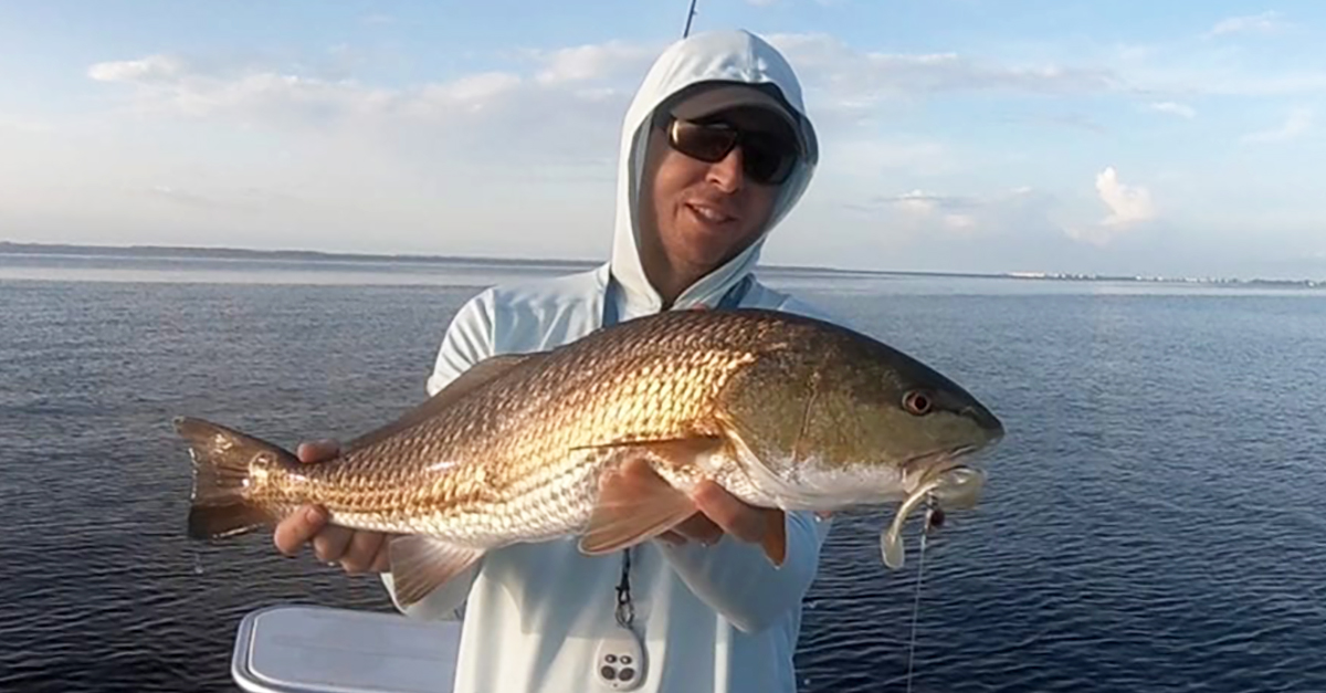 http://redfish%20on%20slam%20shady