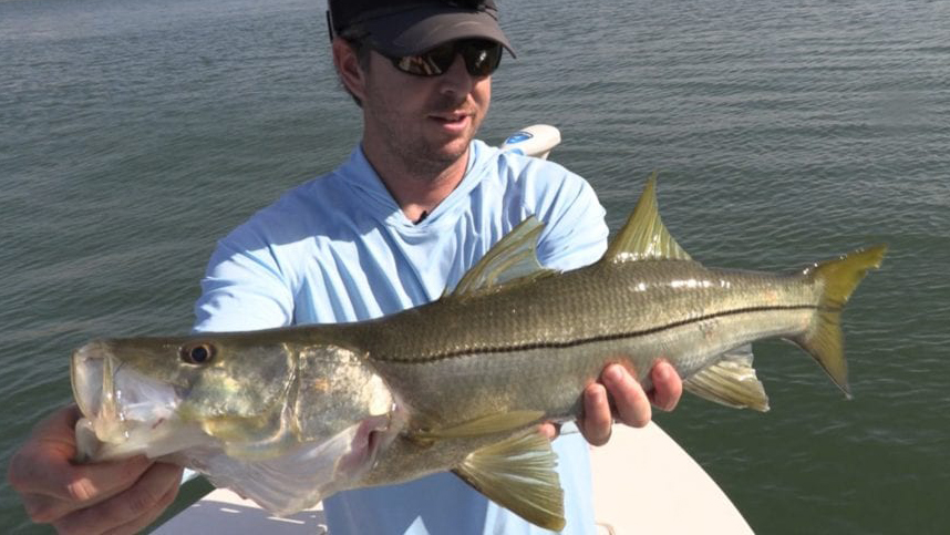 beach snook