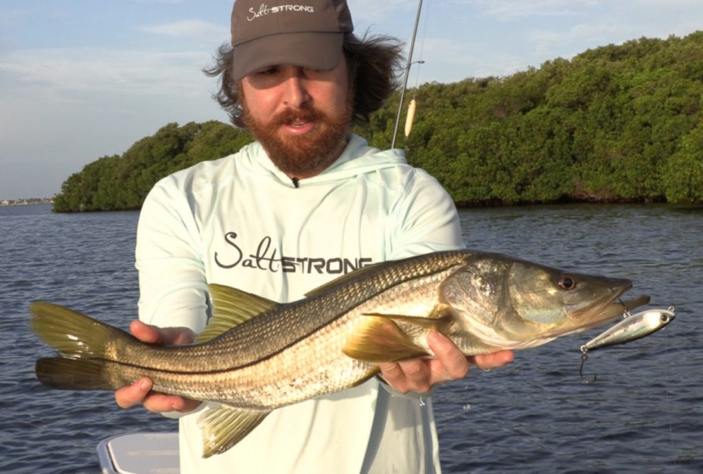 badonkadonk topwater snook