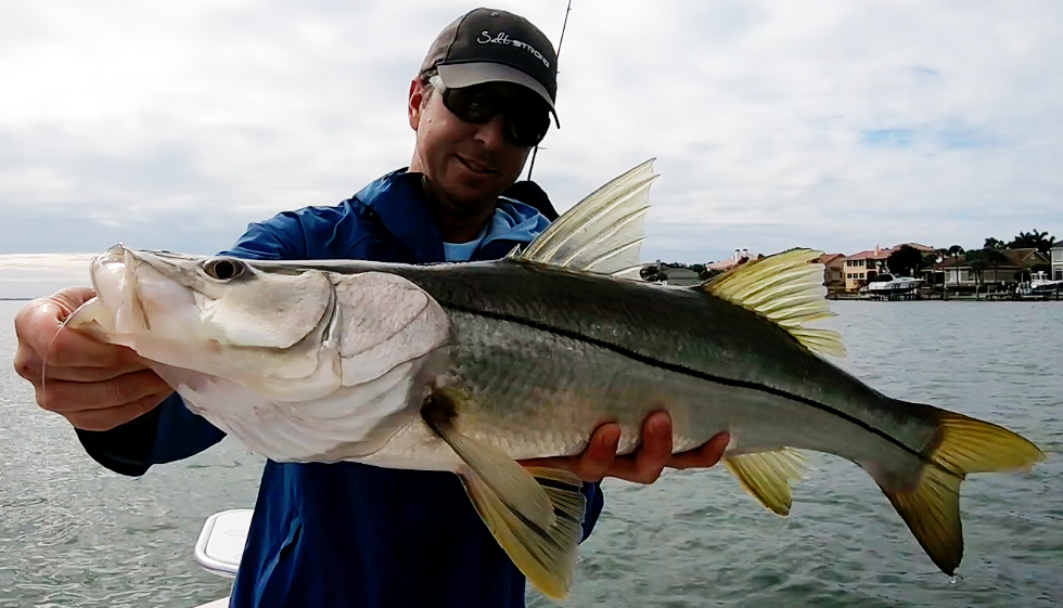 luke snook weedless jig head