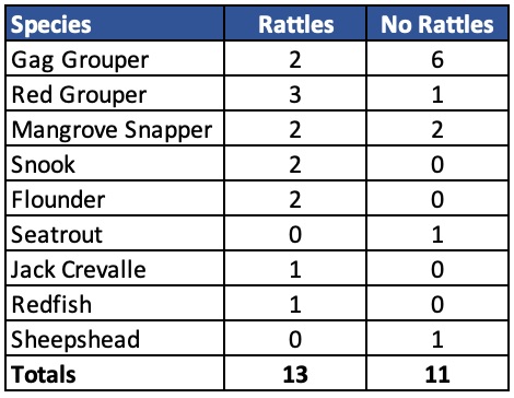 lure rattles vs no rattles
