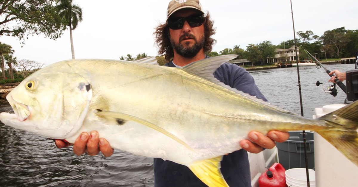 lunkerdog jeff maggio