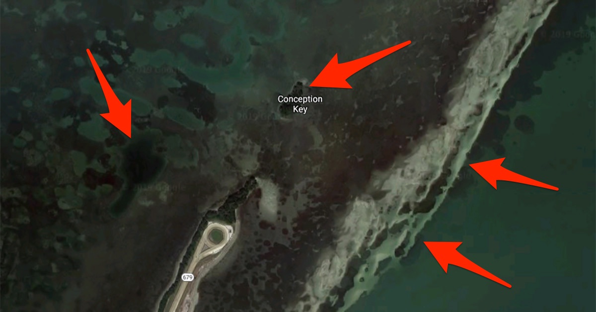 finding the best inshore fishing spots for redfish