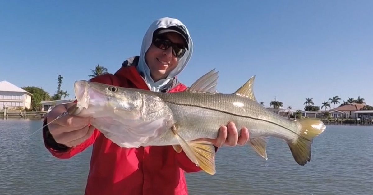 marco island snook fishing