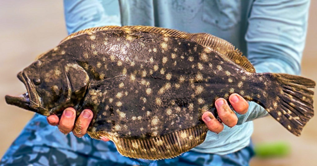 this tackle mistake helped me catch more flounder