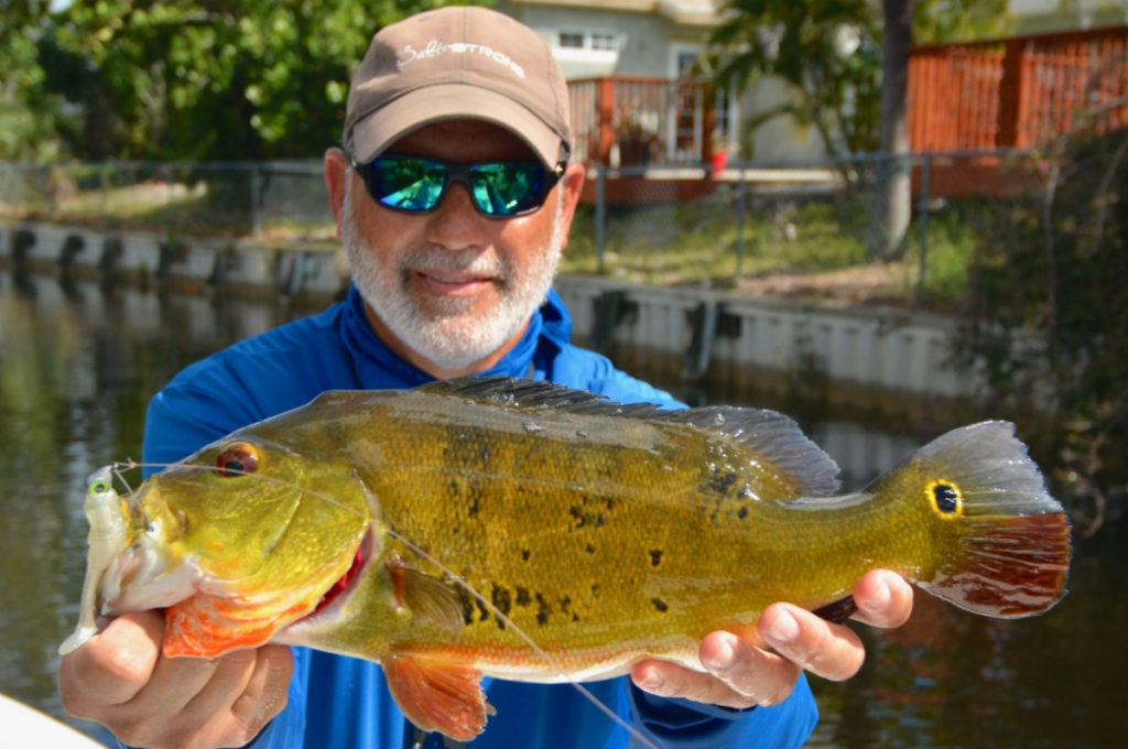 mitchel-senft-peacock-bass