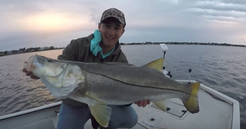 monster snook