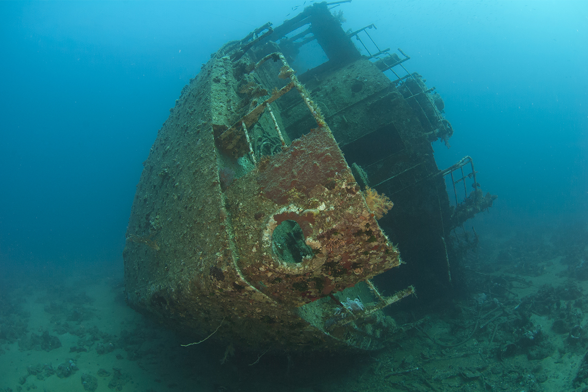 Offshore artificial reef