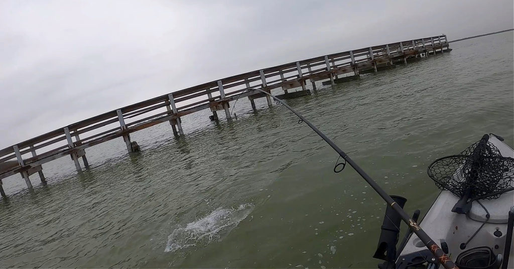 fishing under docks in muddy water