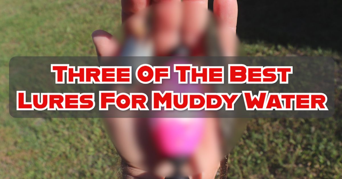 http://top%203%20lures%20for%20muddy%20water