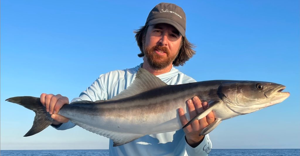 shrimp lure for nearshore reefs