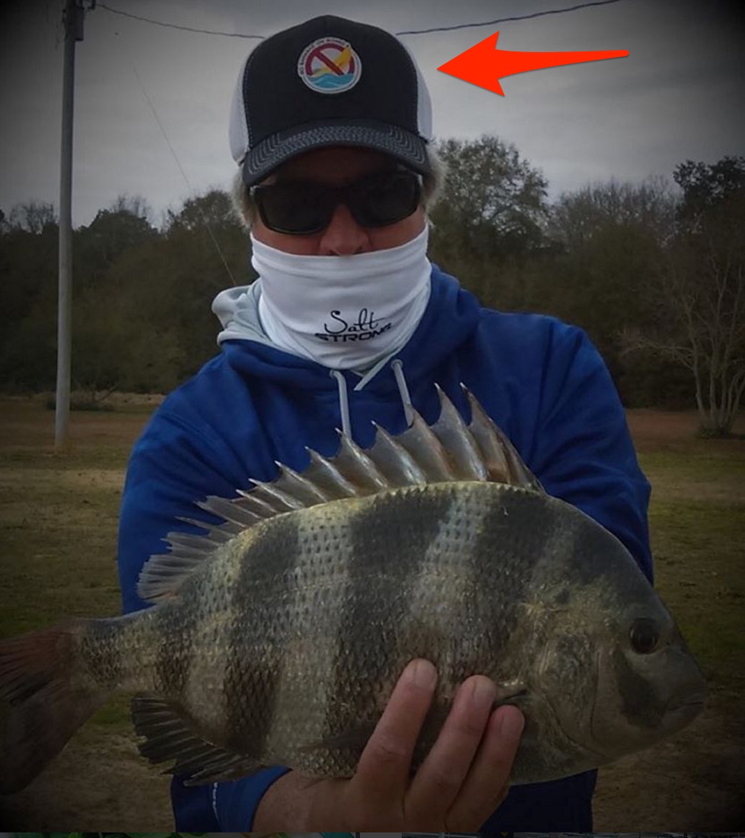 bad luck bananas on board