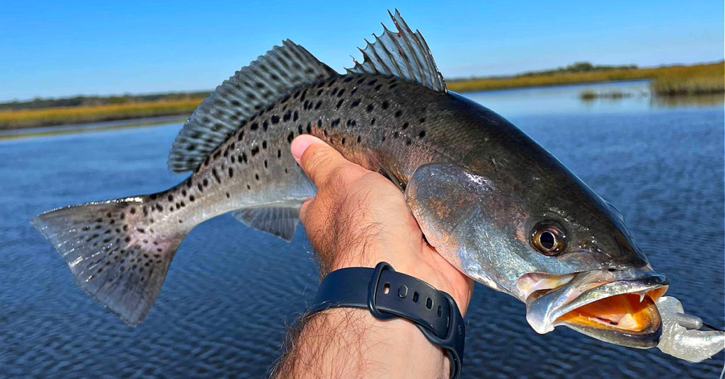 fishing outgoing tides in winter
