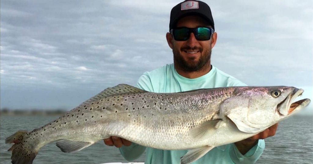 trophy trout on live bait