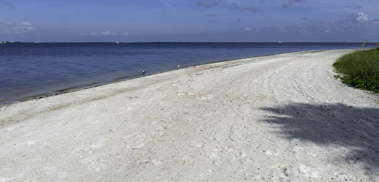 picnic island park fishing